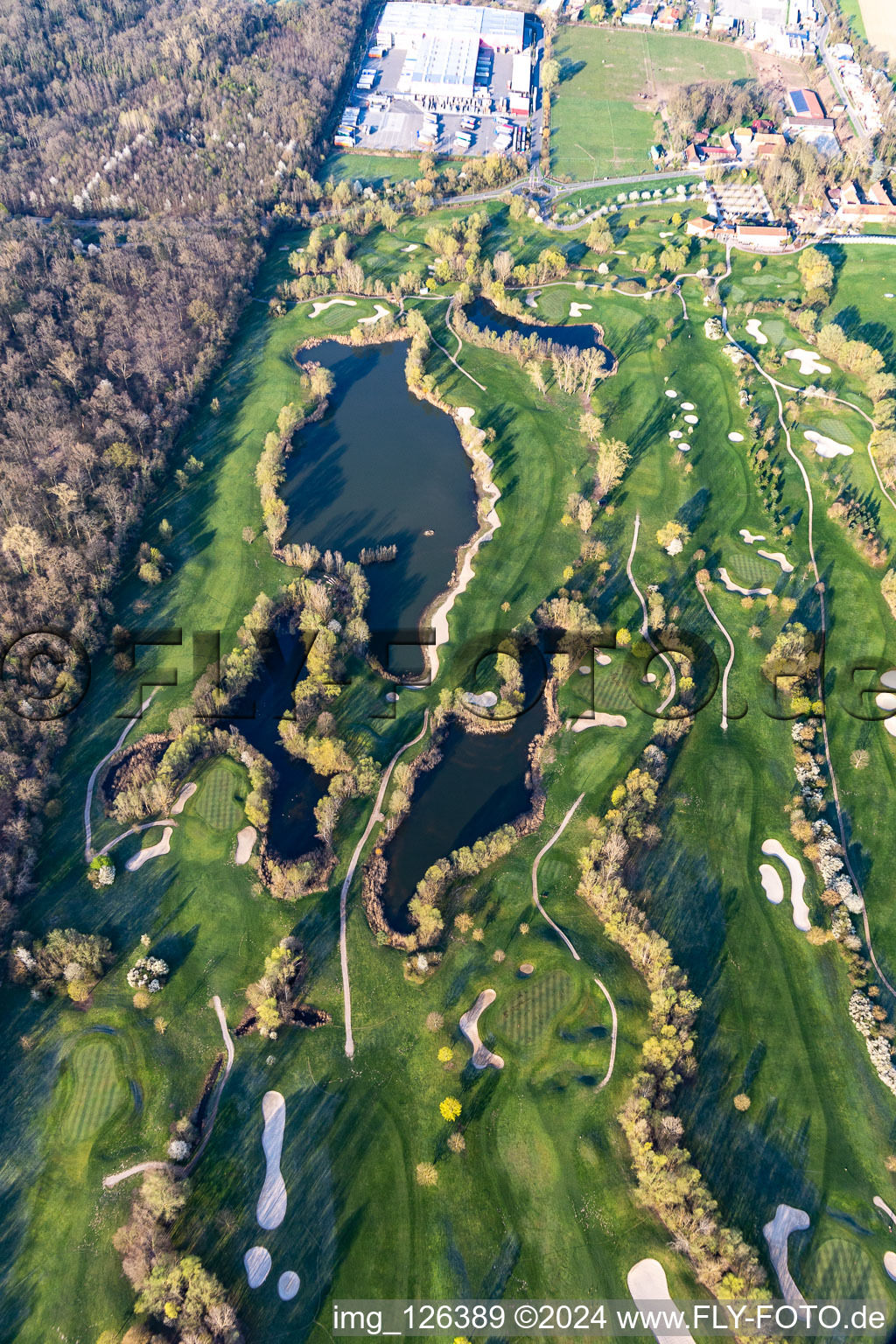 Arbres en fleurs au printemps sur le terrain de golf Landgut Dreihof - GOLF absolu à le quartier Dreihof in Essingen dans le département Rhénanie-Palatinat, Allemagne depuis l'avion