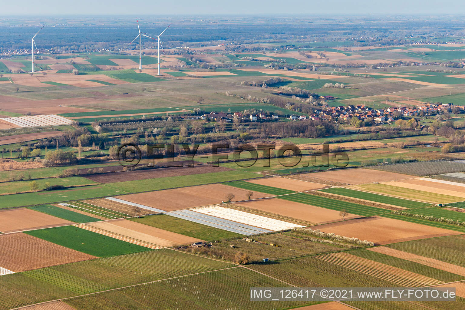 Vue aérienne de Verger Eier-Meyer à le quartier Mühlhofen in Billigheim-Ingenheim dans le département Rhénanie-Palatinat, Allemagne