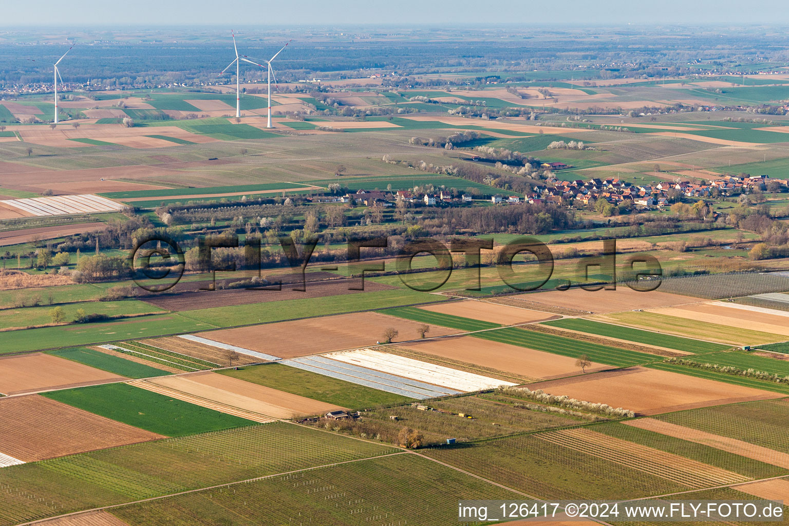 Vue aérienne de Verger Eier-Meyer à le quartier Mühlhofen in Billigheim-Ingenheim dans le département Rhénanie-Palatinat, Allemagne