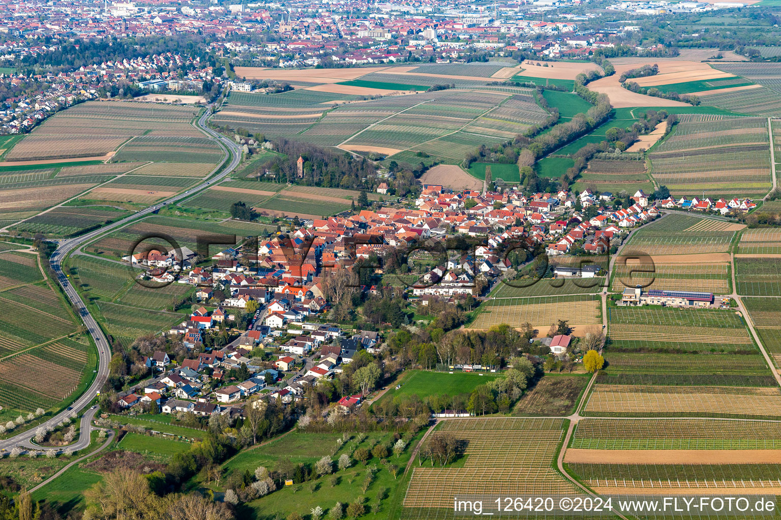 Vue aérienne de Quartier Wollmesheim in Landau in der Pfalz dans le département Rhénanie-Palatinat, Allemagne