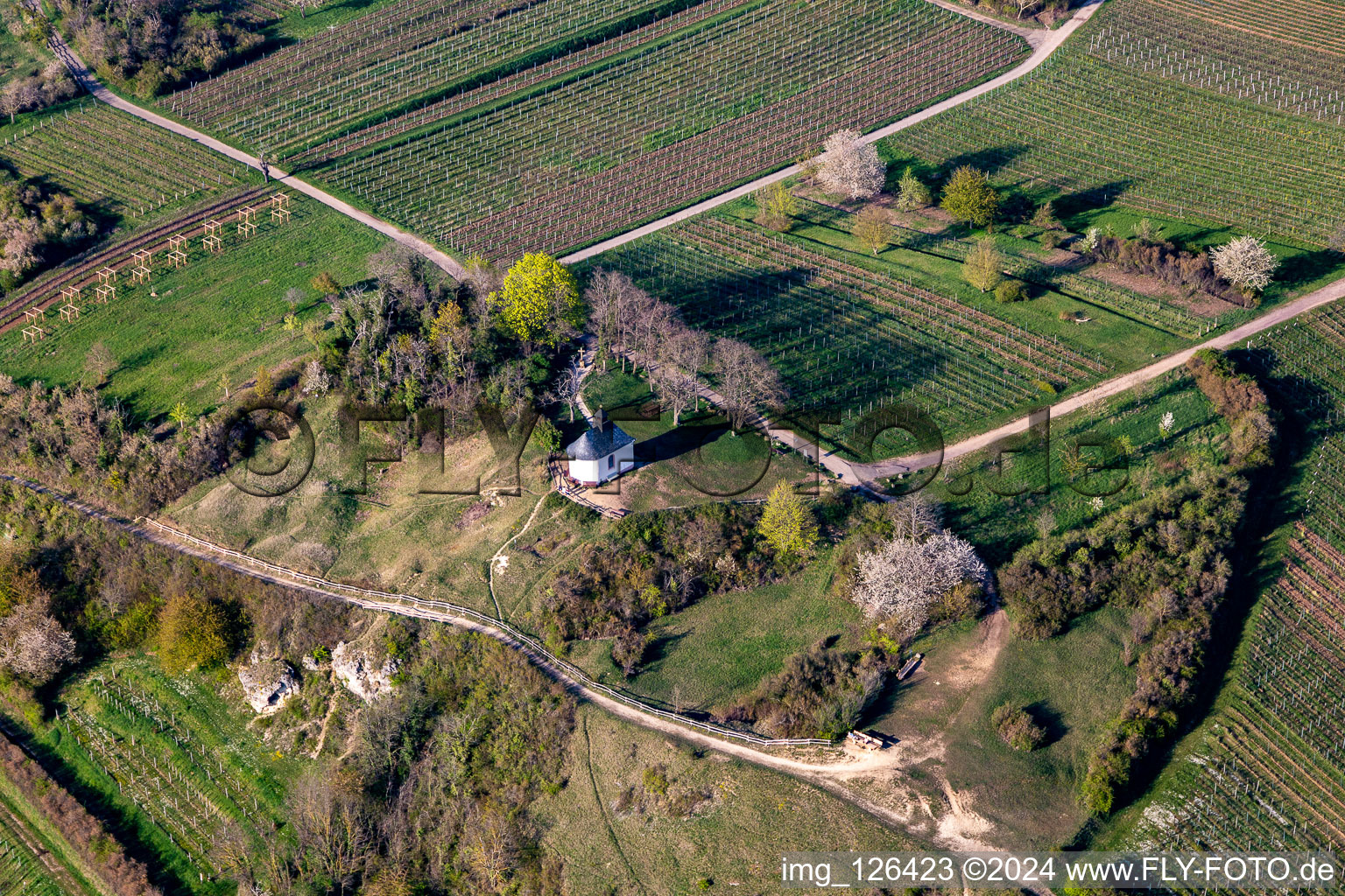 Vue oblique de Chapelle dans la réserve naturelle de Kleine Kalmit à le quartier Ilbesheim in Ilbesheim bei Landau in der Pfalz dans le département Rhénanie-Palatinat, Allemagne