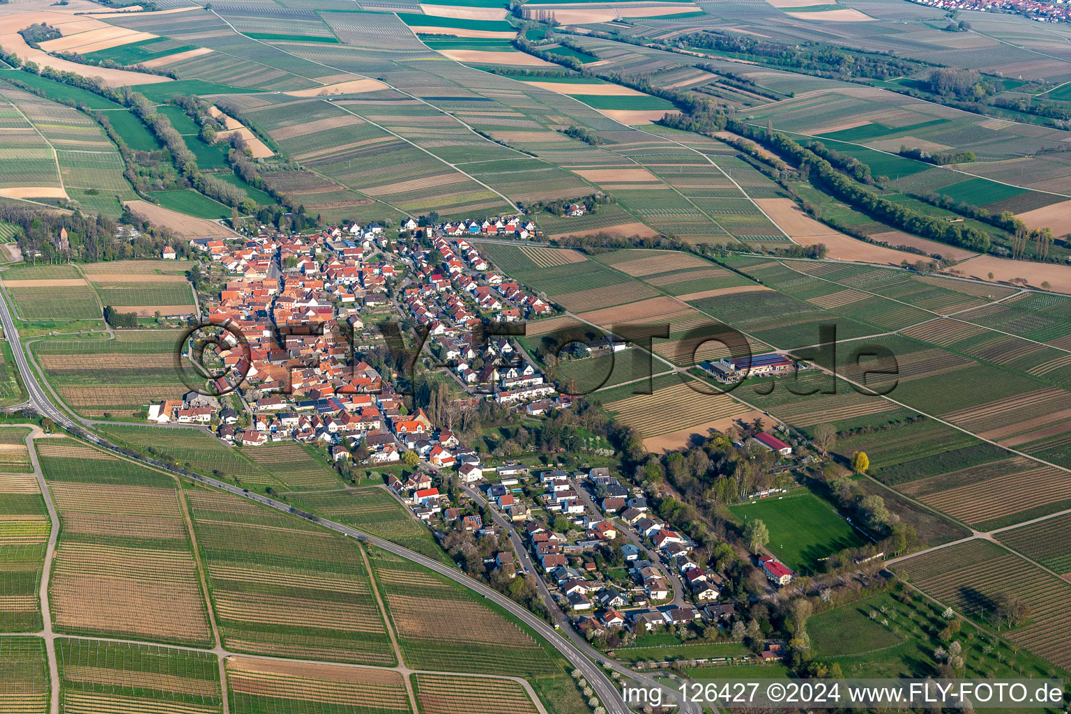 Quartier Wollmesheim in Landau in der Pfalz dans le département Rhénanie-Palatinat, Allemagne vu d'un drone