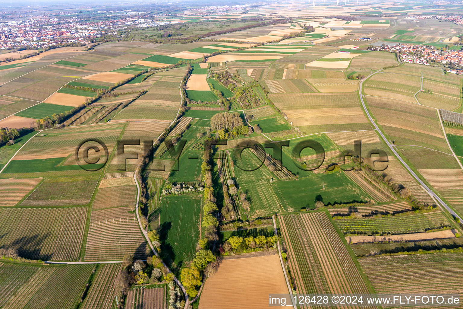 Vue aérienne de Brühlgraben à le quartier Mörzheim in Landau in der Pfalz dans le département Rhénanie-Palatinat, Allemagne