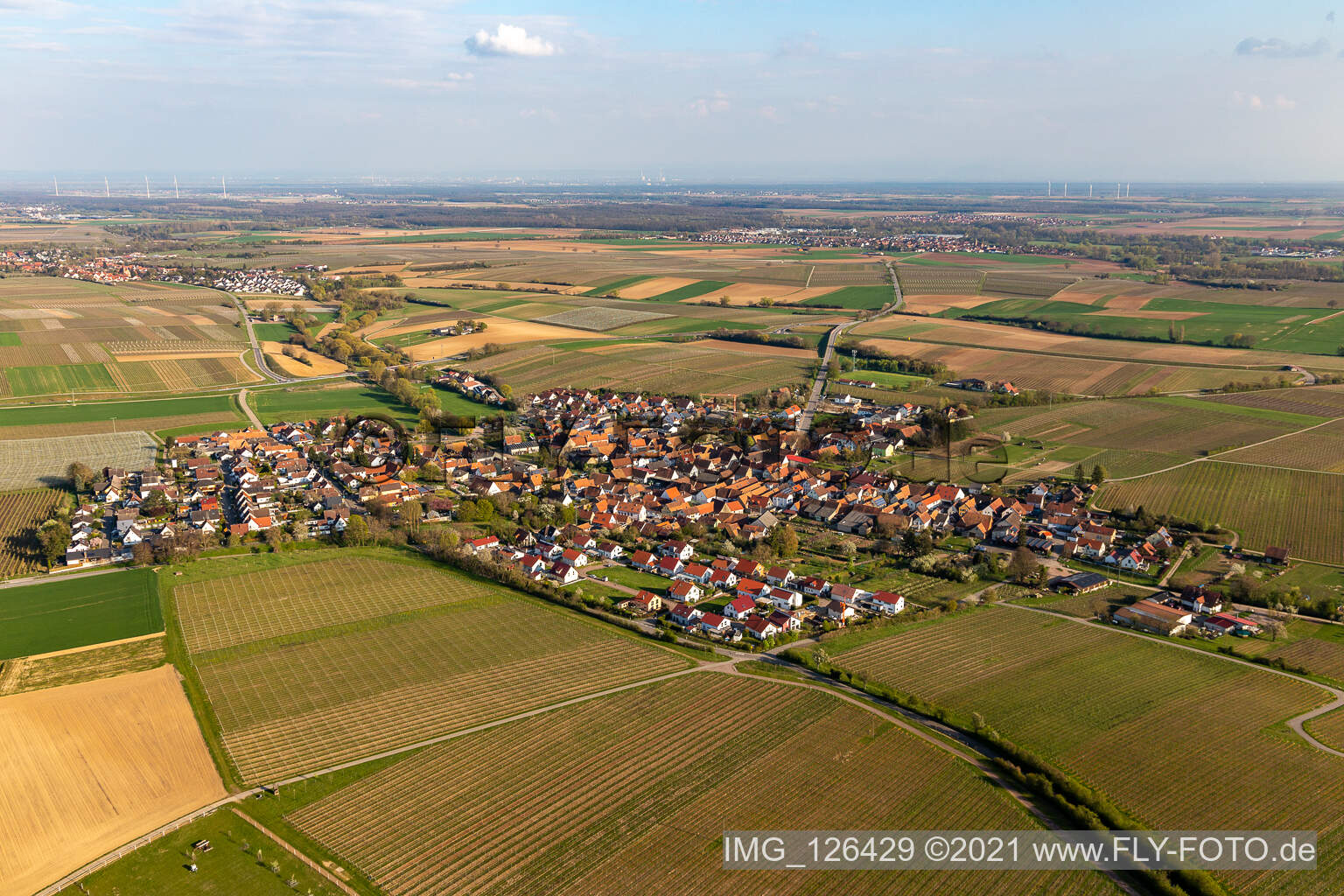 Vue oblique de Champs agricoles et surfaces utilisables à Impflingen dans le département Rhénanie-Palatinat, Allemagne