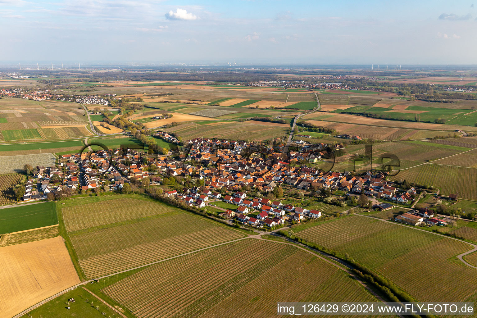 Vue oblique de Champs agricoles et surfaces utilisables à Impflingen dans le département Rhénanie-Palatinat, Allemagne