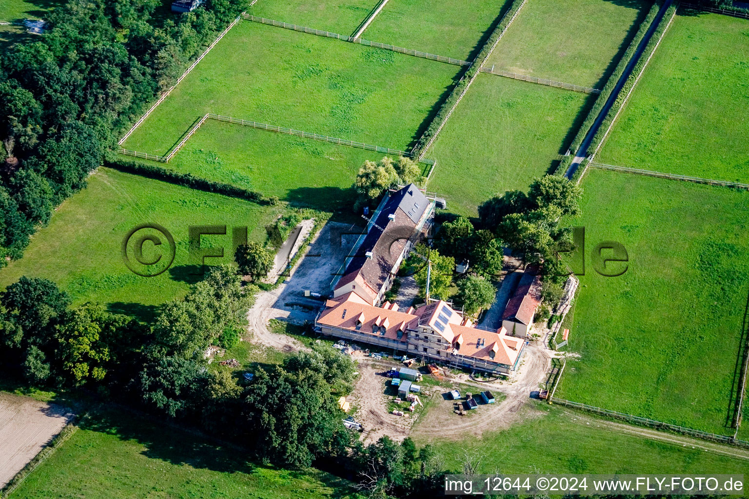 Image drone de Haßloch dans le département Rhénanie-Palatinat, Allemagne