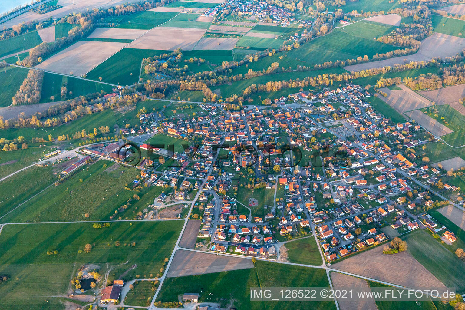 Vue aérienne de Champs agricoles et surfaces utilisables à Forstfeld dans le département Bas Rhin, France