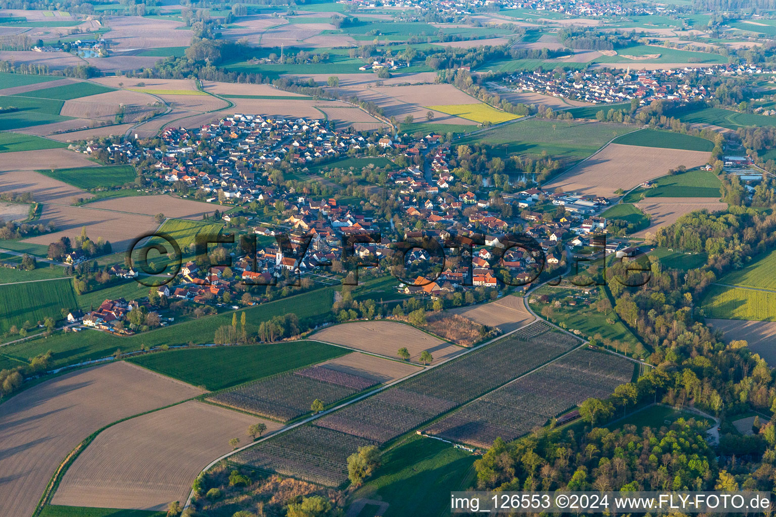 Vue aérienne de Quartier Diersheim in Rheinau dans le département Bade-Wurtemberg, Allemagne