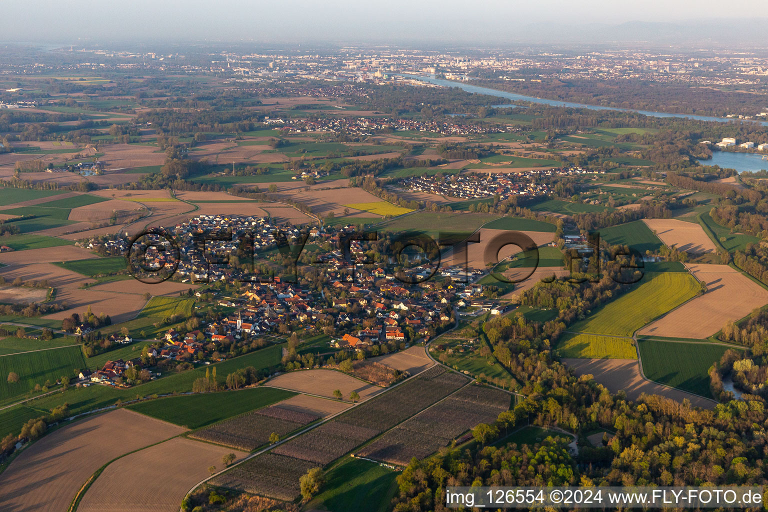 Vue aérienne de Superficies des berges du Rhin en Diersheim à le quartier Diersheim in Rheinau dans le département Bade-Wurtemberg, Allemagne