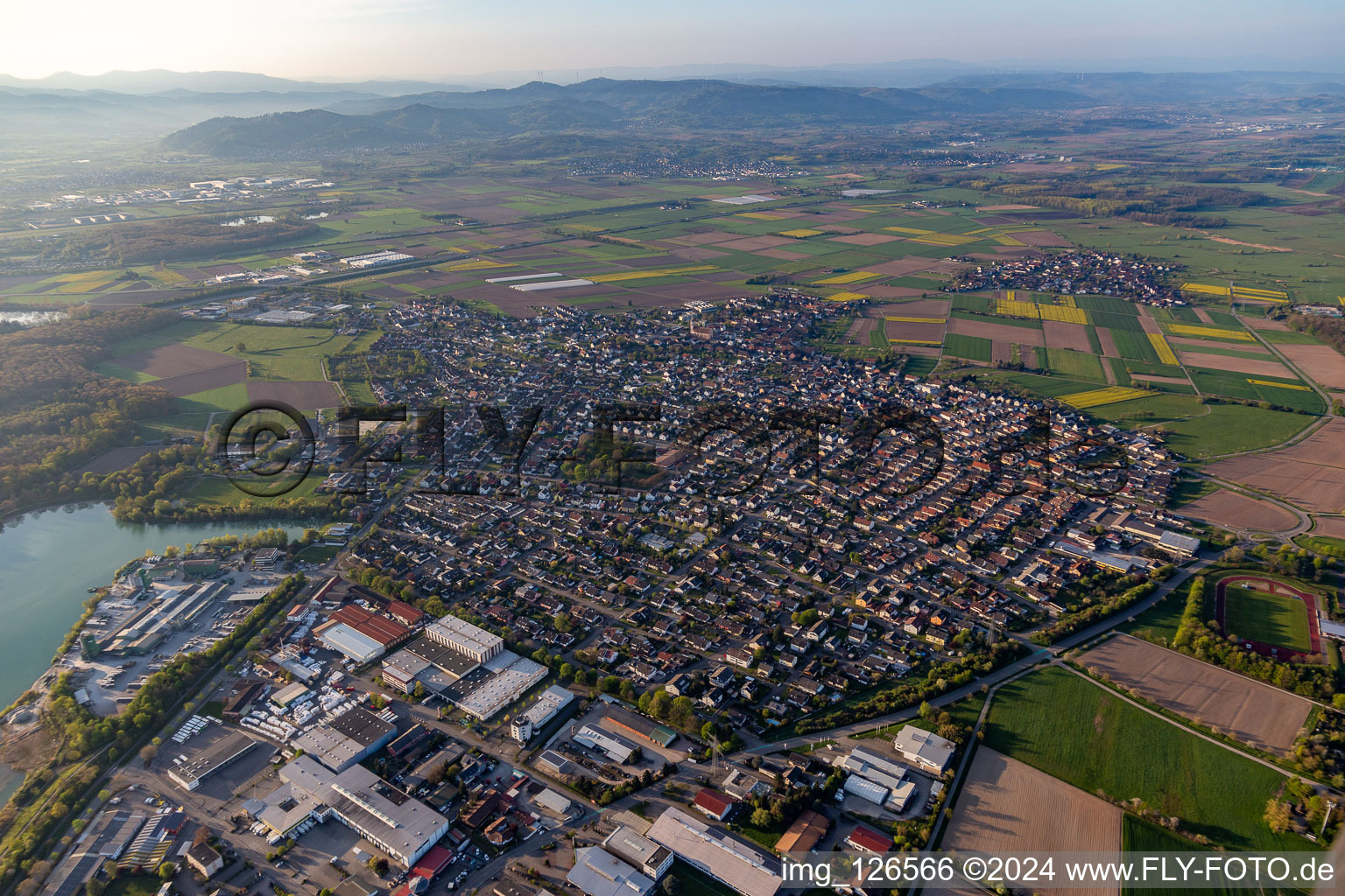 Vue aérienne de Vue des rues et des maisons des quartiers résidentiels à Schutterwald dans le département Bade-Wurtemberg, Allemagne