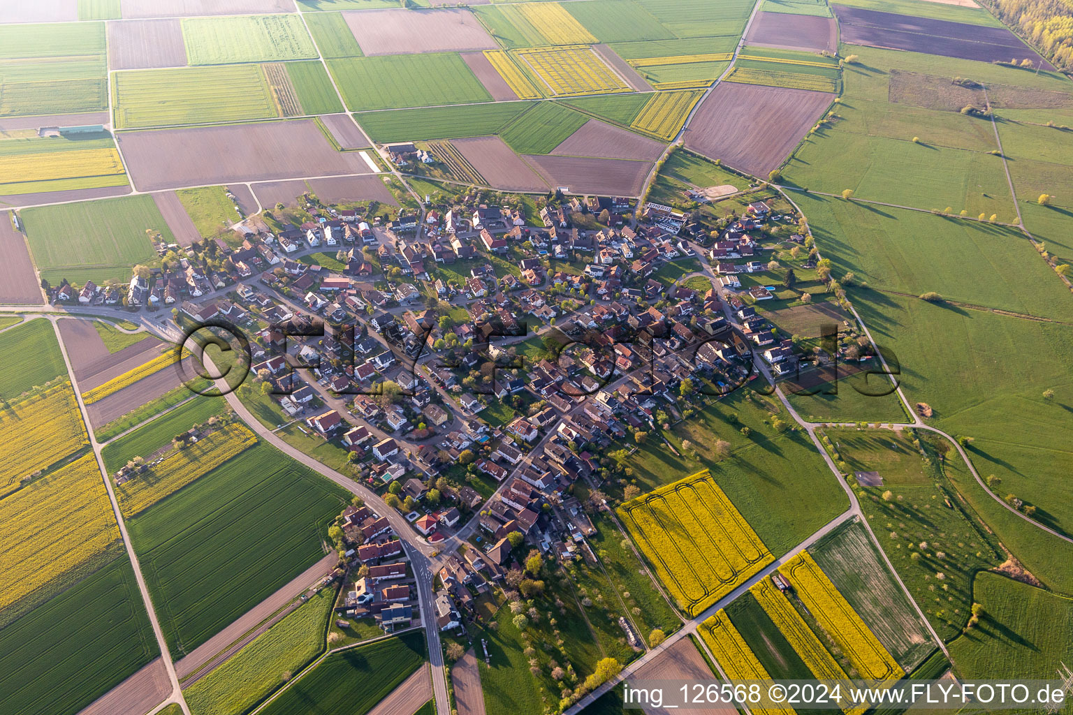 Vue aérienne de Quartier Höfen in Schutterwald dans le département Bade-Wurtemberg, Allemagne