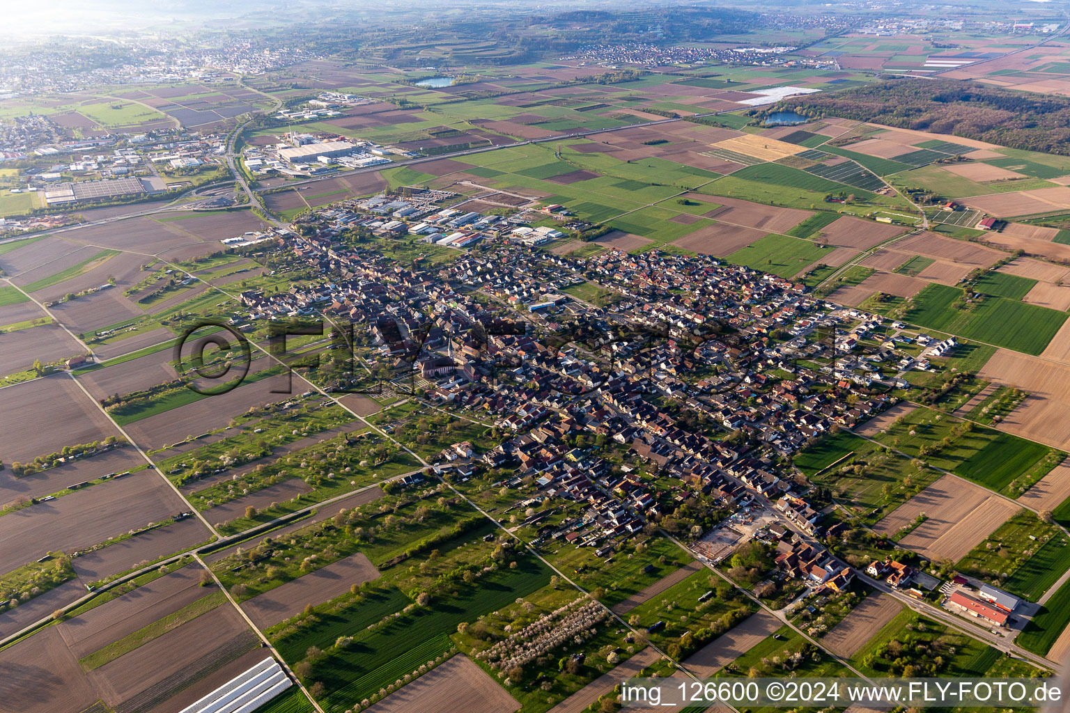 Vue aérienne de Vue de la commune en bordure des champs et zones agricoles en Grafenhausen à le quartier Grafenhausen in Kappel-Grafenhausen dans le département Bade-Wurtemberg, Allemagne