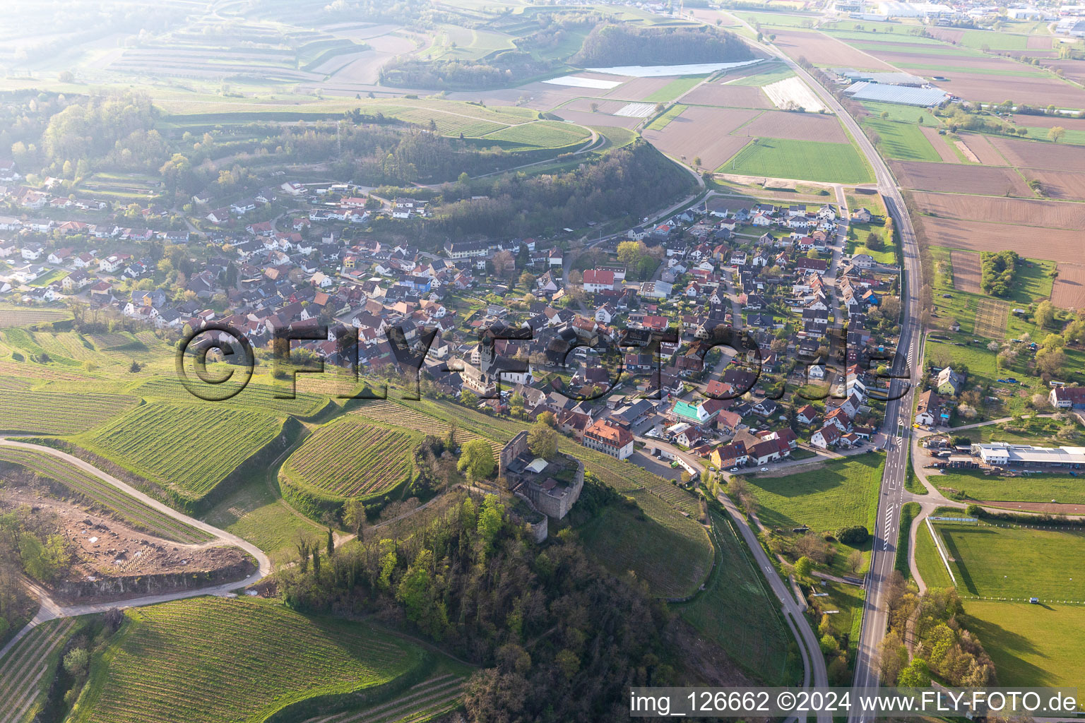 Photographie aérienne de Château de Lichteneck à le quartier Hecklingen in Kenzingen dans le département Bade-Wurtemberg, Allemagne