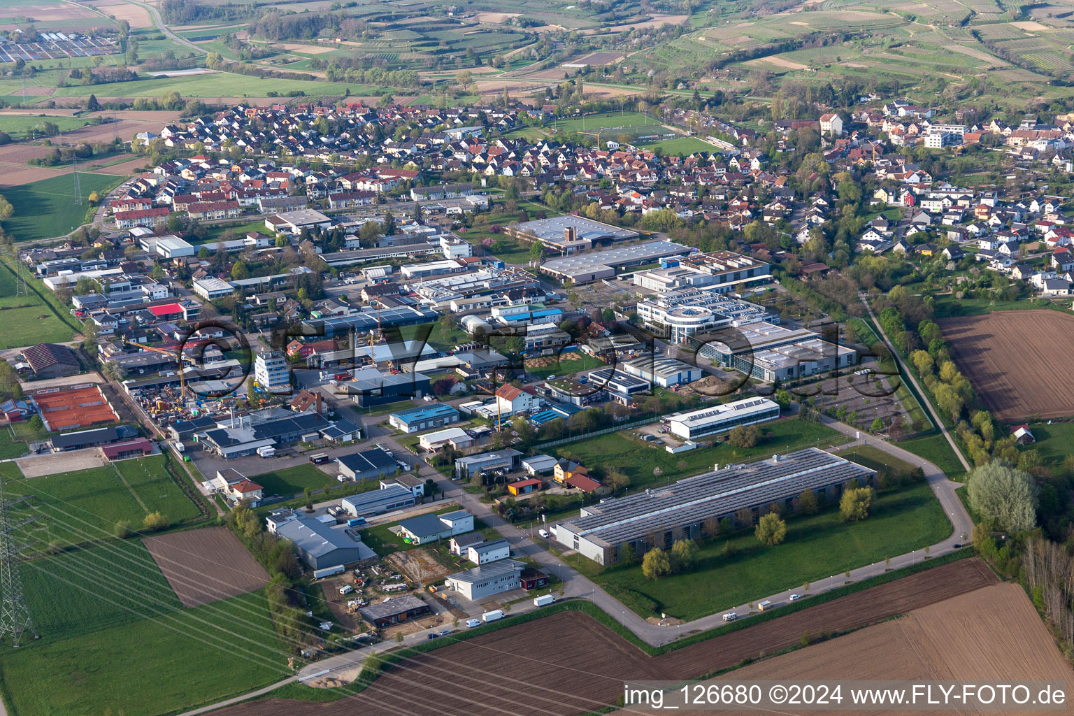 Vue oblique de Bahlingen am Kaiserstuhl dans le département Bade-Wurtemberg, Allemagne