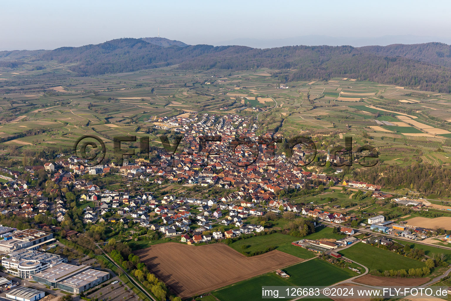 Vue aérienne de Paysage viticole des zones viticoles de Bahlingen dans le Kaiserstuhl à Bahlingen am Kaiserstuhl dans le département Bade-Wurtemberg, Allemagne