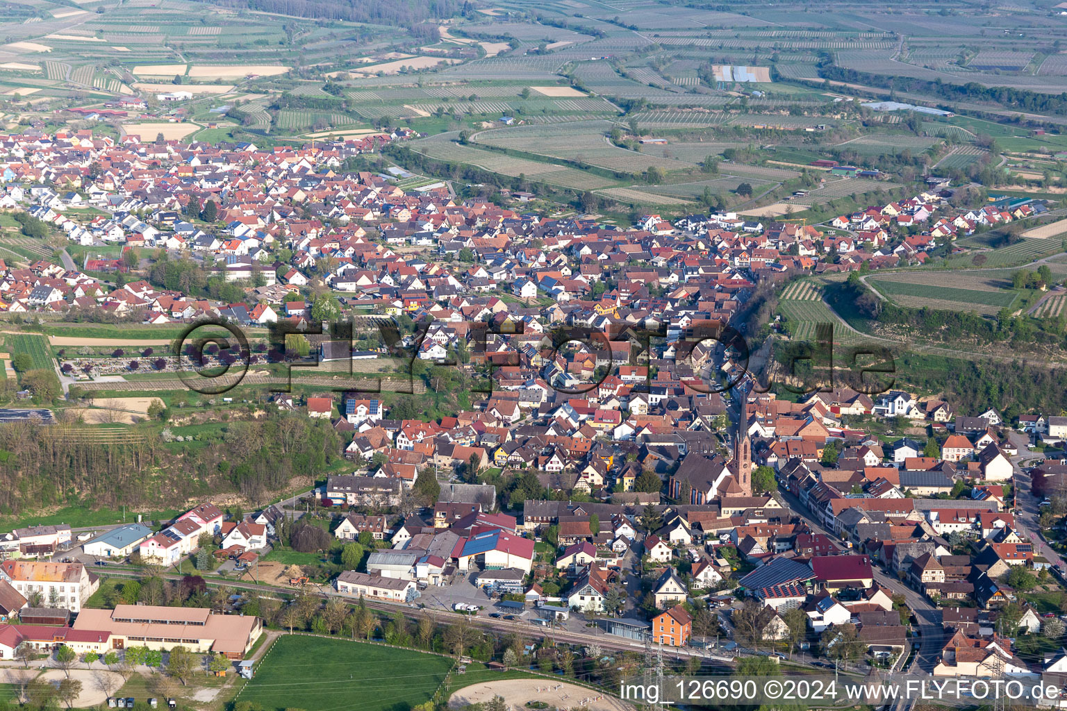 Vue oblique de Eichstetten am Kaiserstuhl dans le département Bade-Wurtemberg, Allemagne