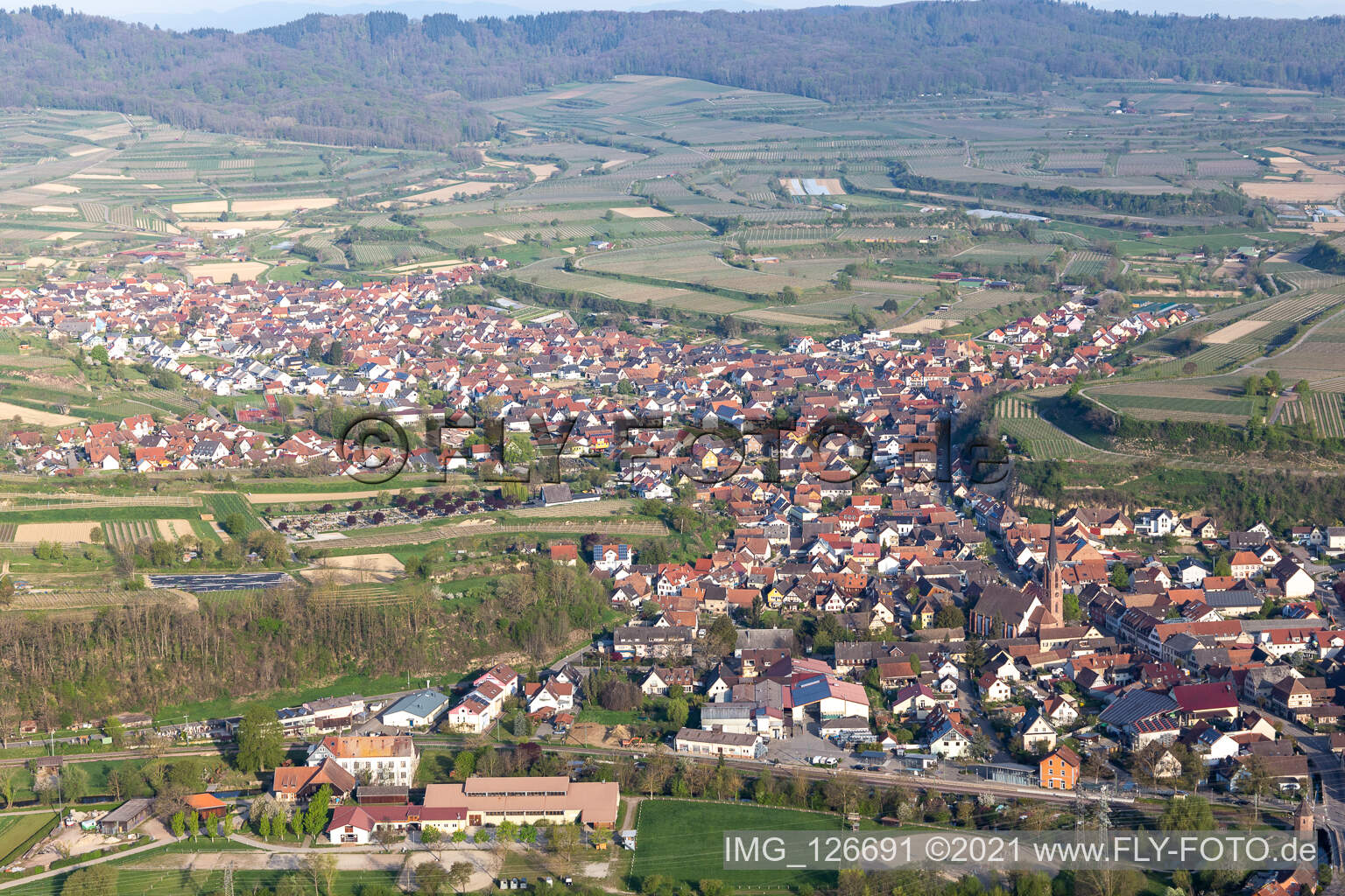 Vue aérienne de Vue des rues et des maisons des quartiers résidentiels à Eichstetten am Kaiserstuhl dans le département Bade-Wurtemberg, Allemagne