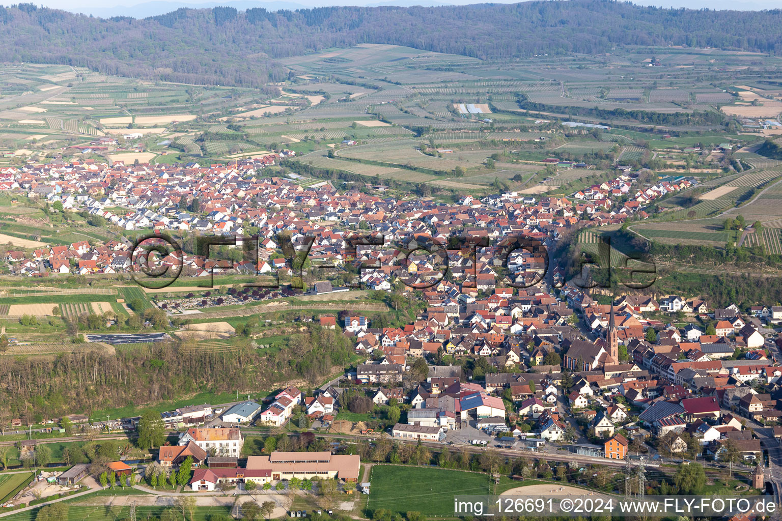 Vue aérienne de Vue des rues et des maisons des quartiers résidentiels à Eichstetten am Kaiserstuhl dans le département Bade-Wurtemberg, Allemagne