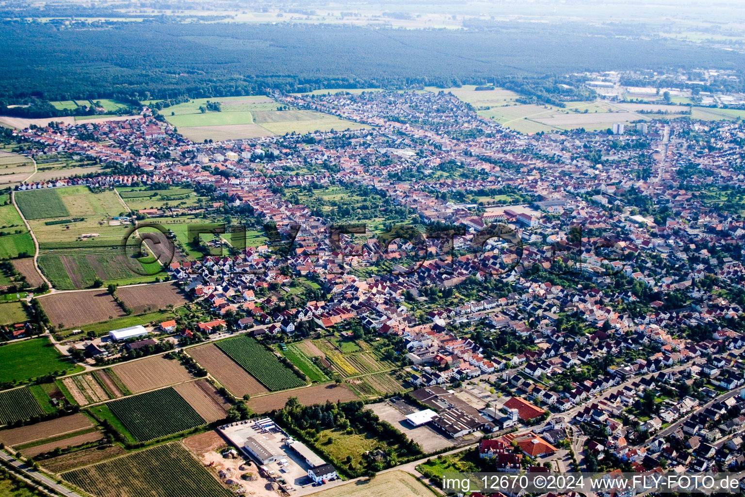 Photographie aérienne de Haßloch dans le département Rhénanie-Palatinat, Allemagne