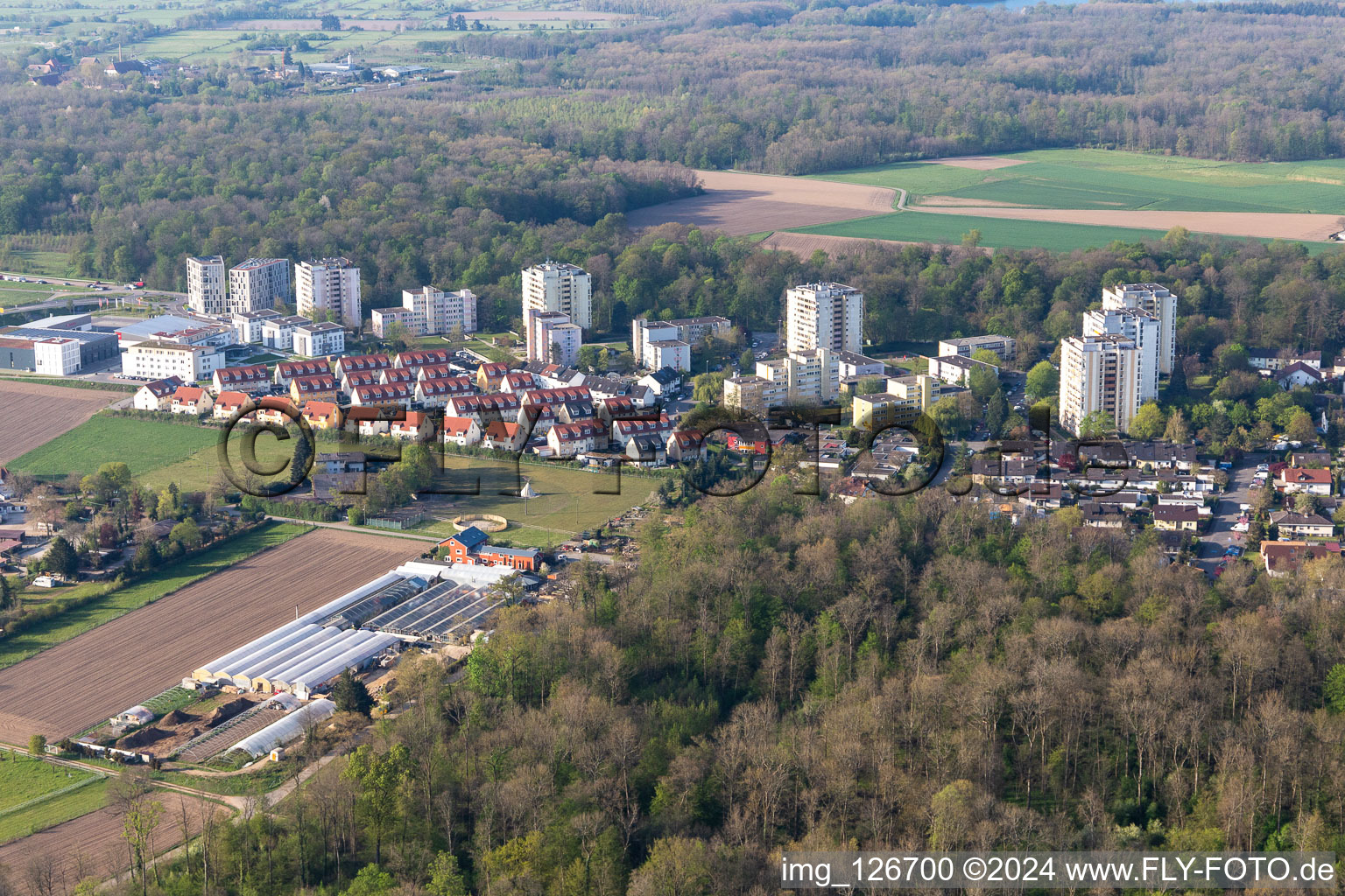 Vue aérienne de Umkirch dans le département Bade-Wurtemberg, Allemagne