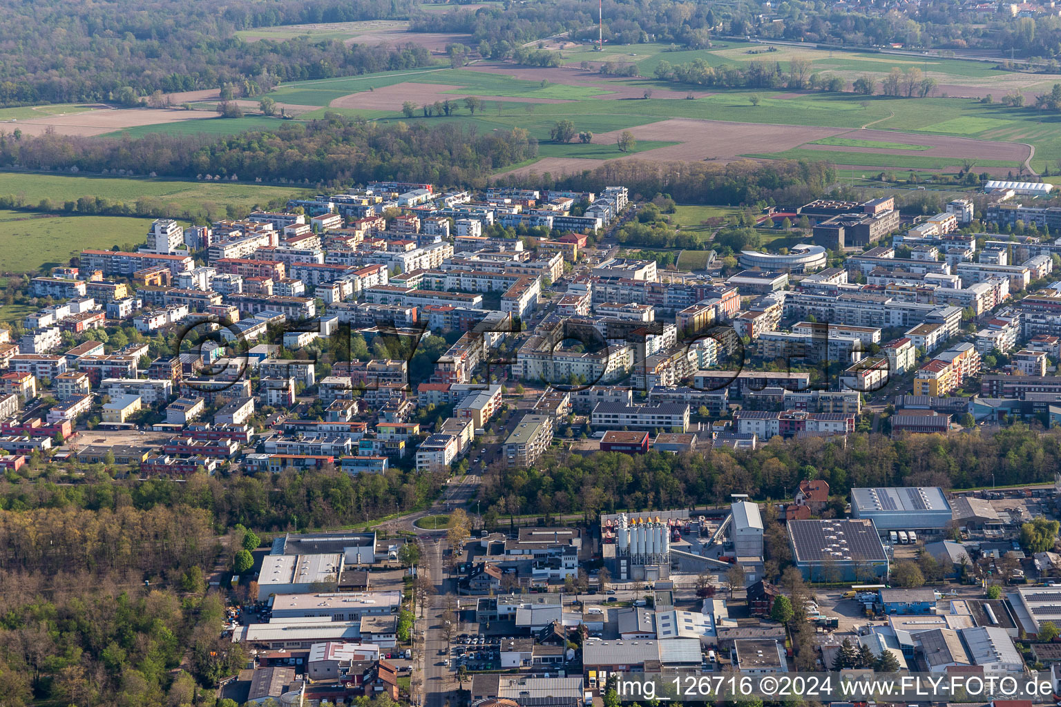 Vue aérienne de Périphéries et zones résidentielles périphériques à le quartier Rieselfeld in Freiburg im Breisgau dans le département Bade-Wurtemberg, Allemagne