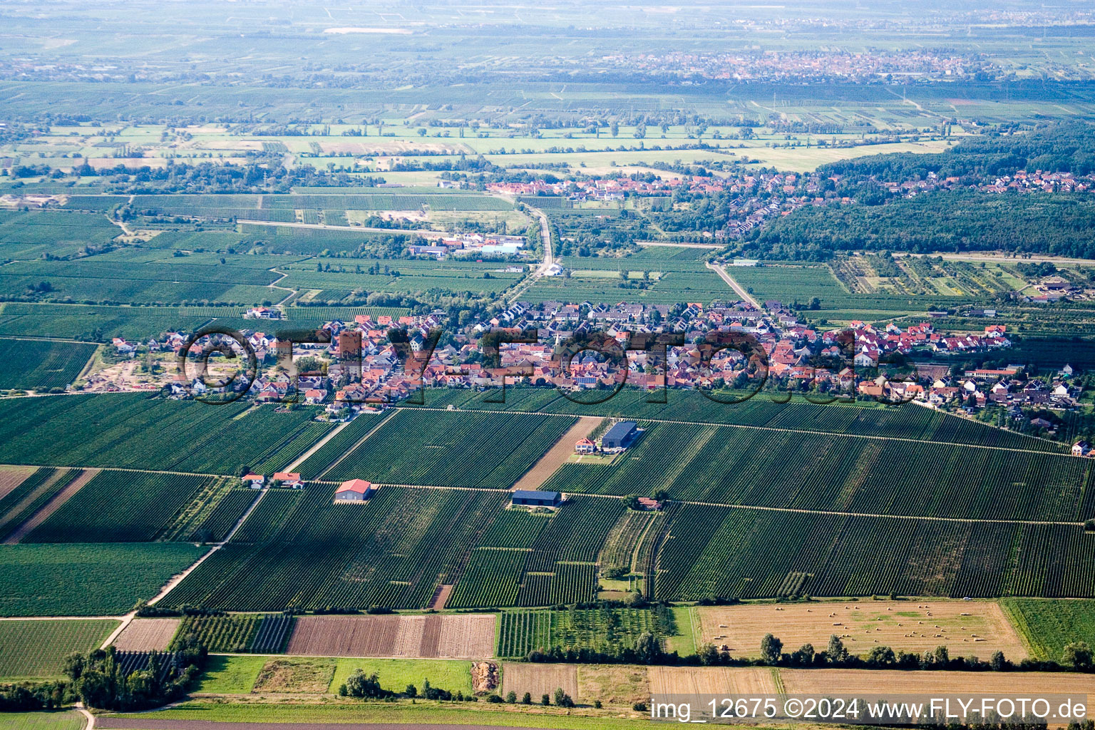 Alsheim-Gronau dans le département Rhénanie-Palatinat, Allemagne vue d'en haut