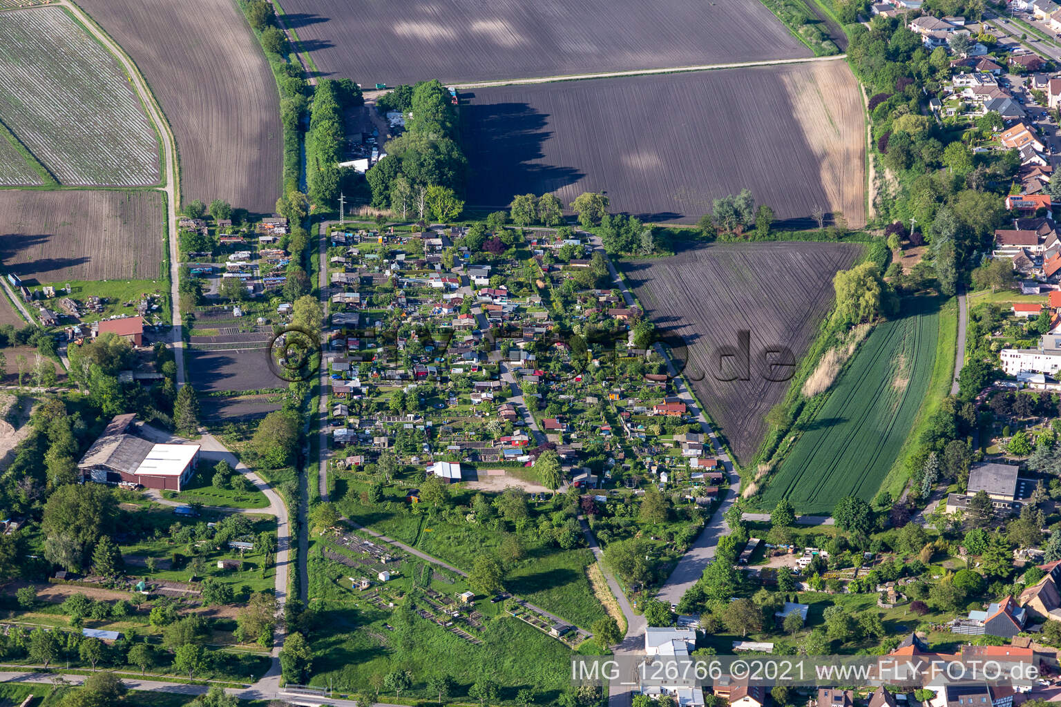 Vue aérienne de Association des jardins familiaux d'Almend eV à le quartier Eggenstein in Eggenstein-Leopoldshafen dans le département Bade-Wurtemberg, Allemagne
