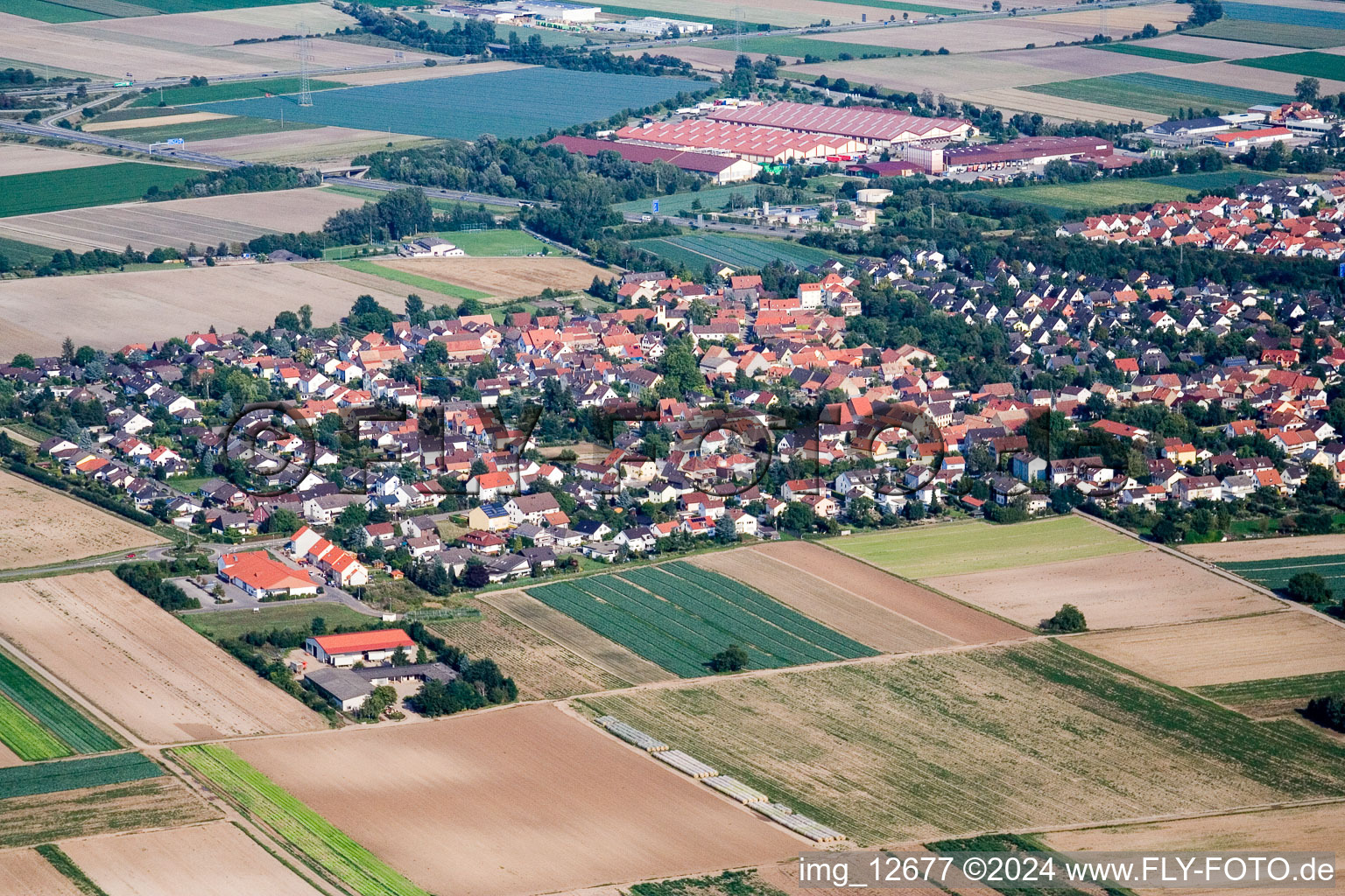 Vue aérienne de Vue des rues et des maisons des quartiers résidentiels à le quartier Schauernheim in Dannstadt-Schauernheim dans le département Rhénanie-Palatinat, Allemagne