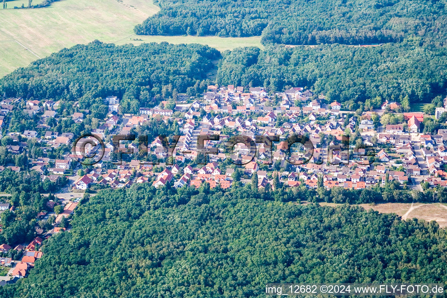 Vue oblique de Ellerstadt dans le département Rhénanie-Palatinat, Allemagne