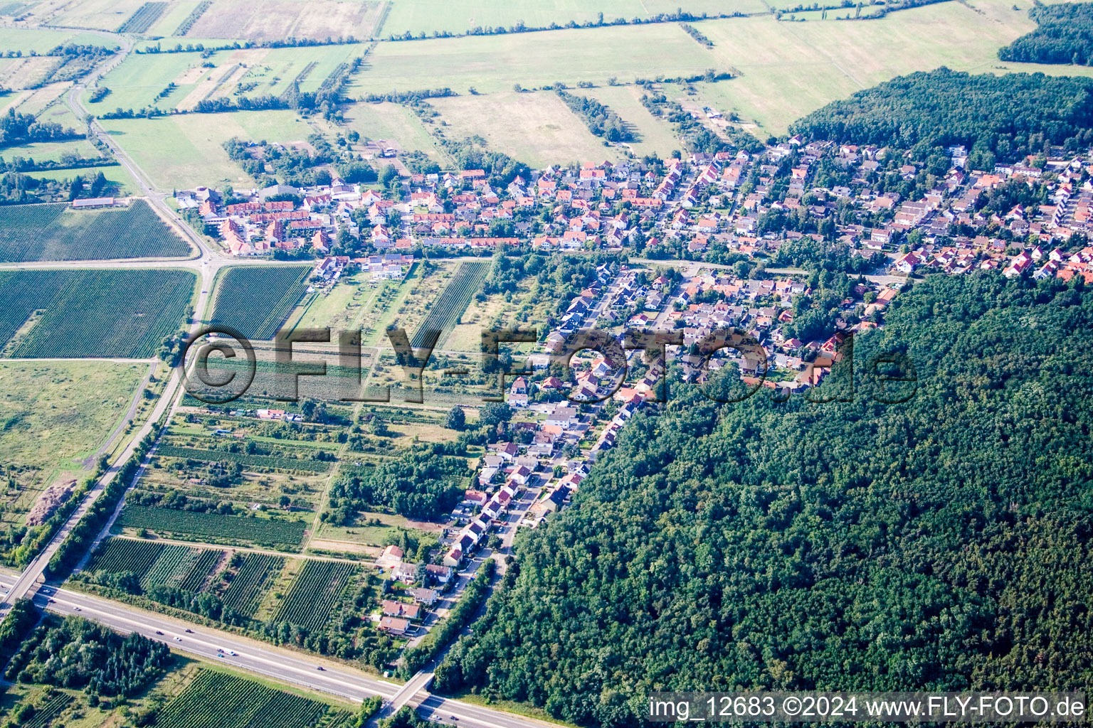 Ellerstadt dans le département Rhénanie-Palatinat, Allemagne d'en haut