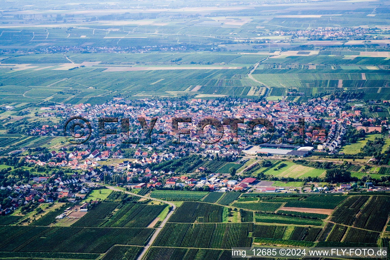 Vue aérienne de Weisenheim am Sand dans le département Rhénanie-Palatinat, Allemagne