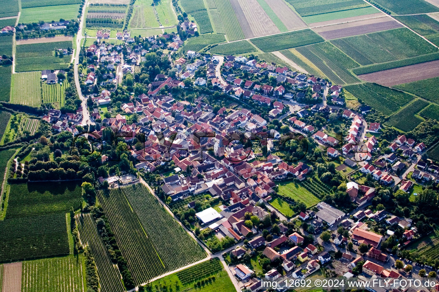 Vue aérienne de Großkarlbach dans le département Rhénanie-Palatinat, Allemagne