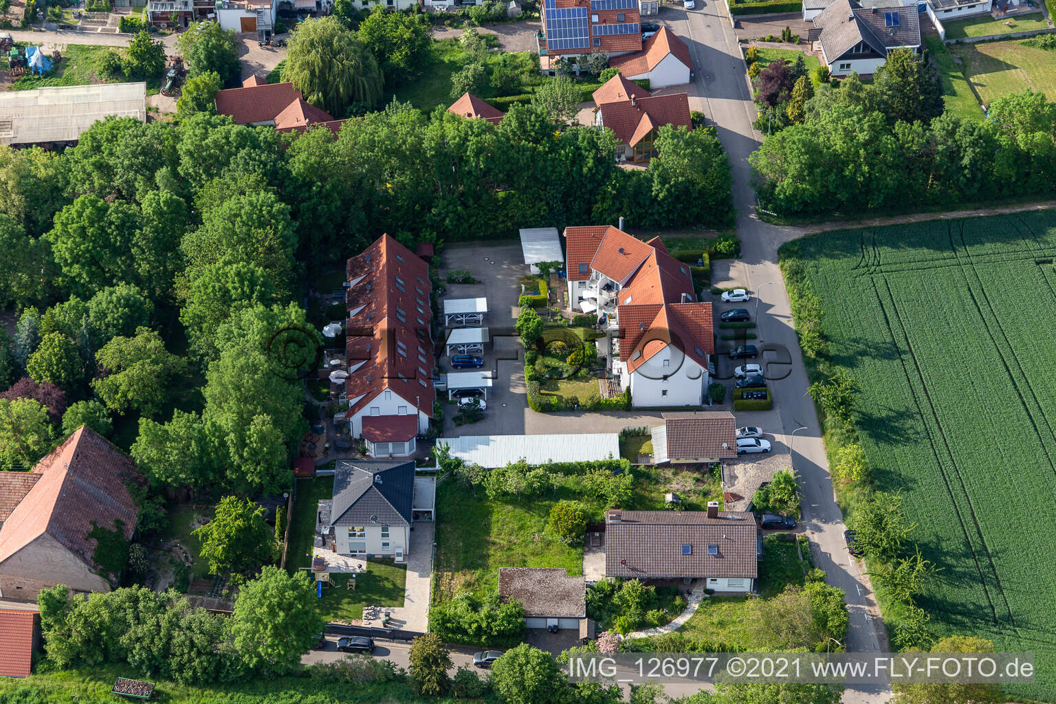 Vue aérienne de Wiesenstr. à Essingen dans le département Rhénanie-Palatinat, Allemagne