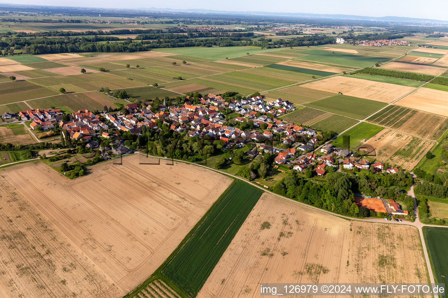 Kleinfischlingen dans le département Rhénanie-Palatinat, Allemagne du point de vue du drone