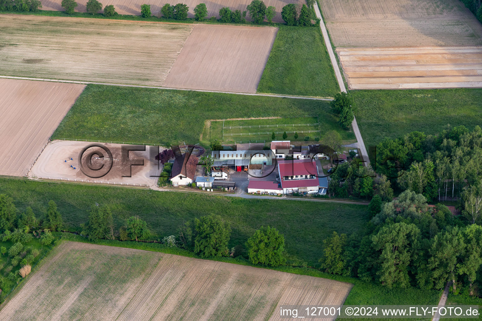 Vue aérienne de Damien GmbH à Gommersheim dans le département Rhénanie-Palatinat, Allemagne