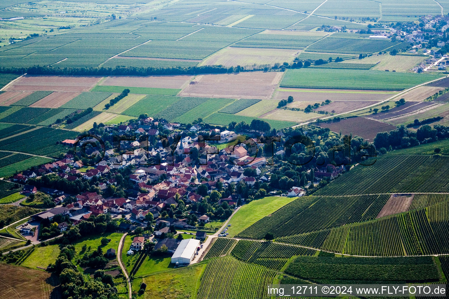 Image drone de Großkarlbach dans le département Rhénanie-Palatinat, Allemagne