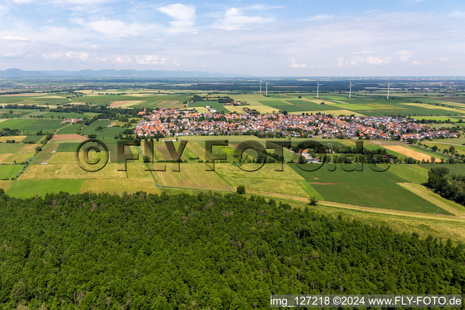 Photographie aérienne de Minfeld dans le département Rhénanie-Palatinat, Allemagne