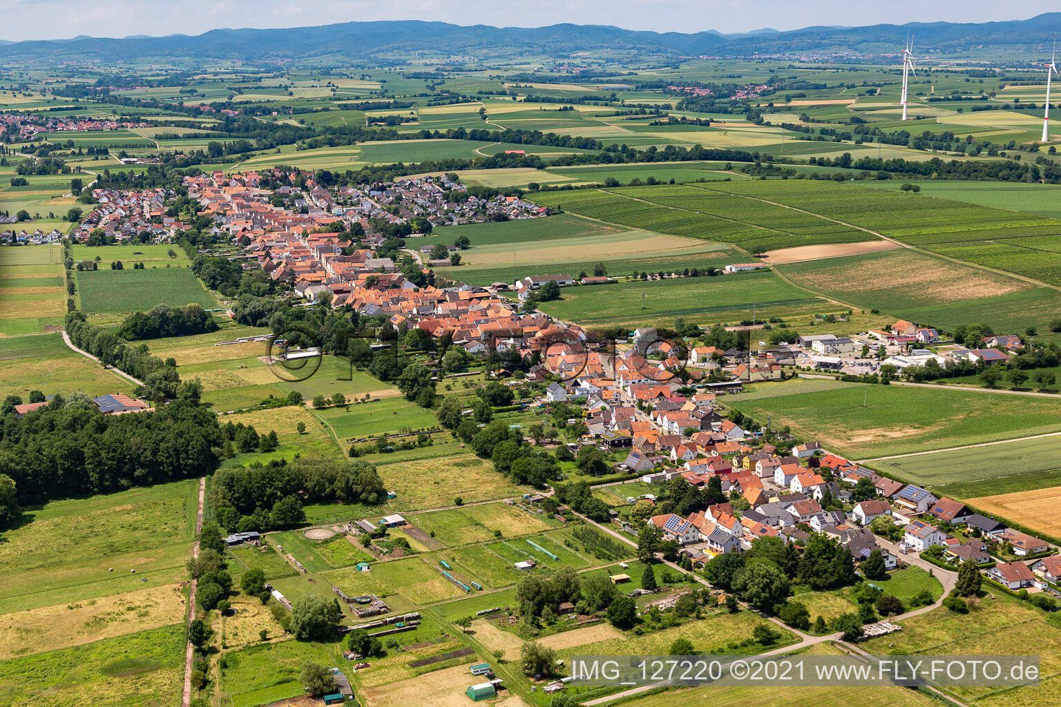 Vue aérienne de Vue sur la commune en bordure de champs agricoles et de zones agricoles à Freckenfeld dans le département Rhénanie-Palatinat, Allemagne