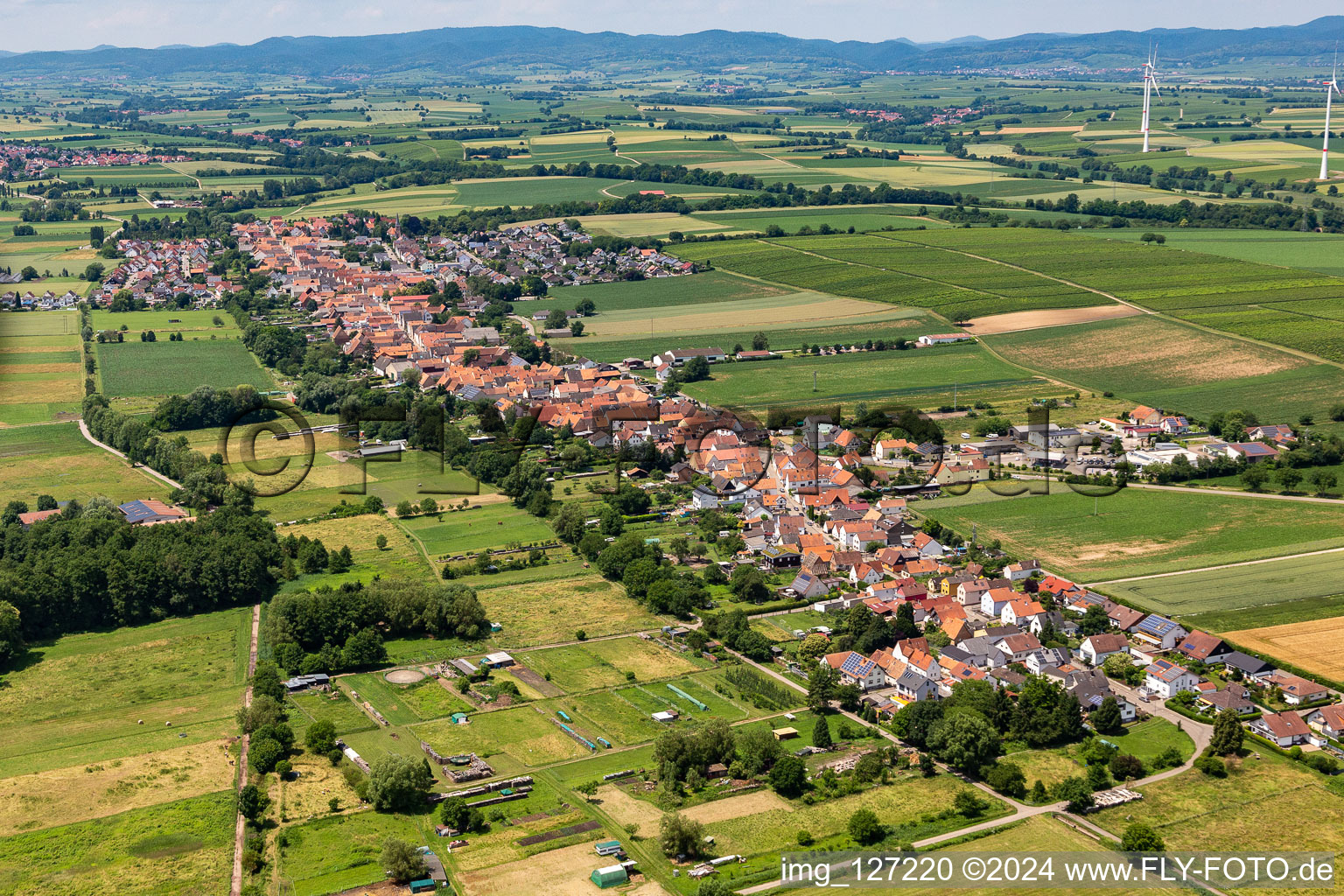 Vue aérienne de Vue sur la commune en bordure de champs agricoles et de zones agricoles à Freckenfeld dans le département Rhénanie-Palatinat, Allemagne