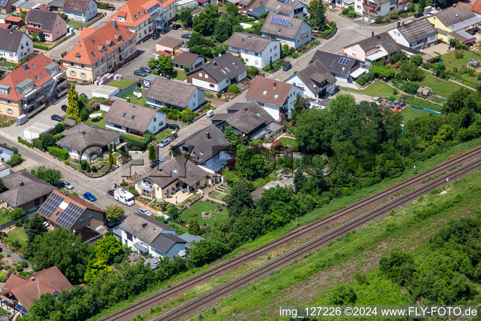 Vue oblique de Dans la roseraie à Winden dans le département Rhénanie-Palatinat, Allemagne