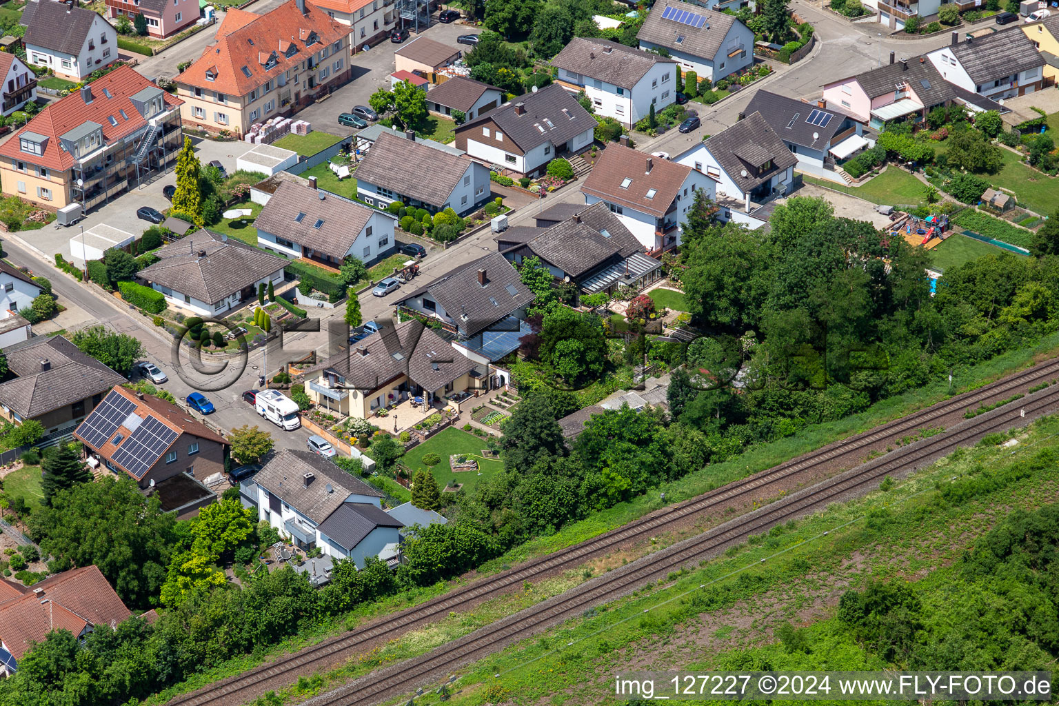 Dans la roseraie à Winden dans le département Rhénanie-Palatinat, Allemagne d'en haut