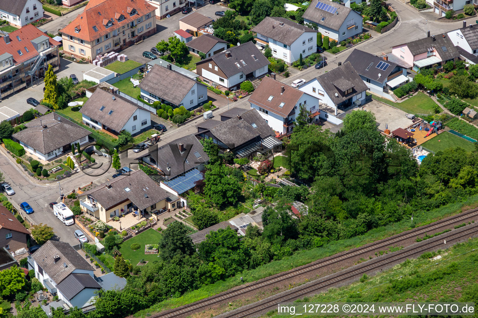 Dans la roseraie à Winden dans le département Rhénanie-Palatinat, Allemagne hors des airs