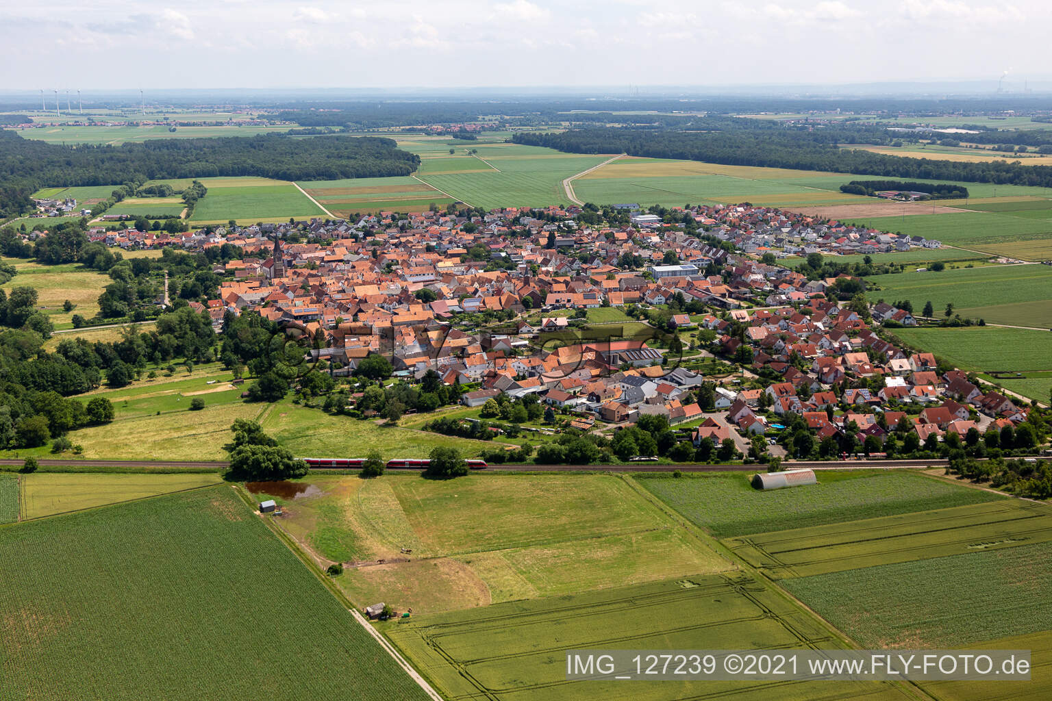 Steinweiler dans le département Rhénanie-Palatinat, Allemagne vue d'en haut