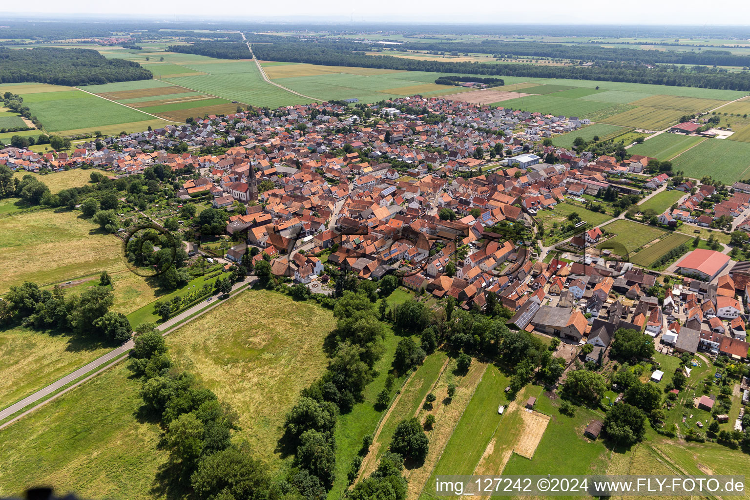 Vue d'oiseau de Steinweiler dans le département Rhénanie-Palatinat, Allemagne