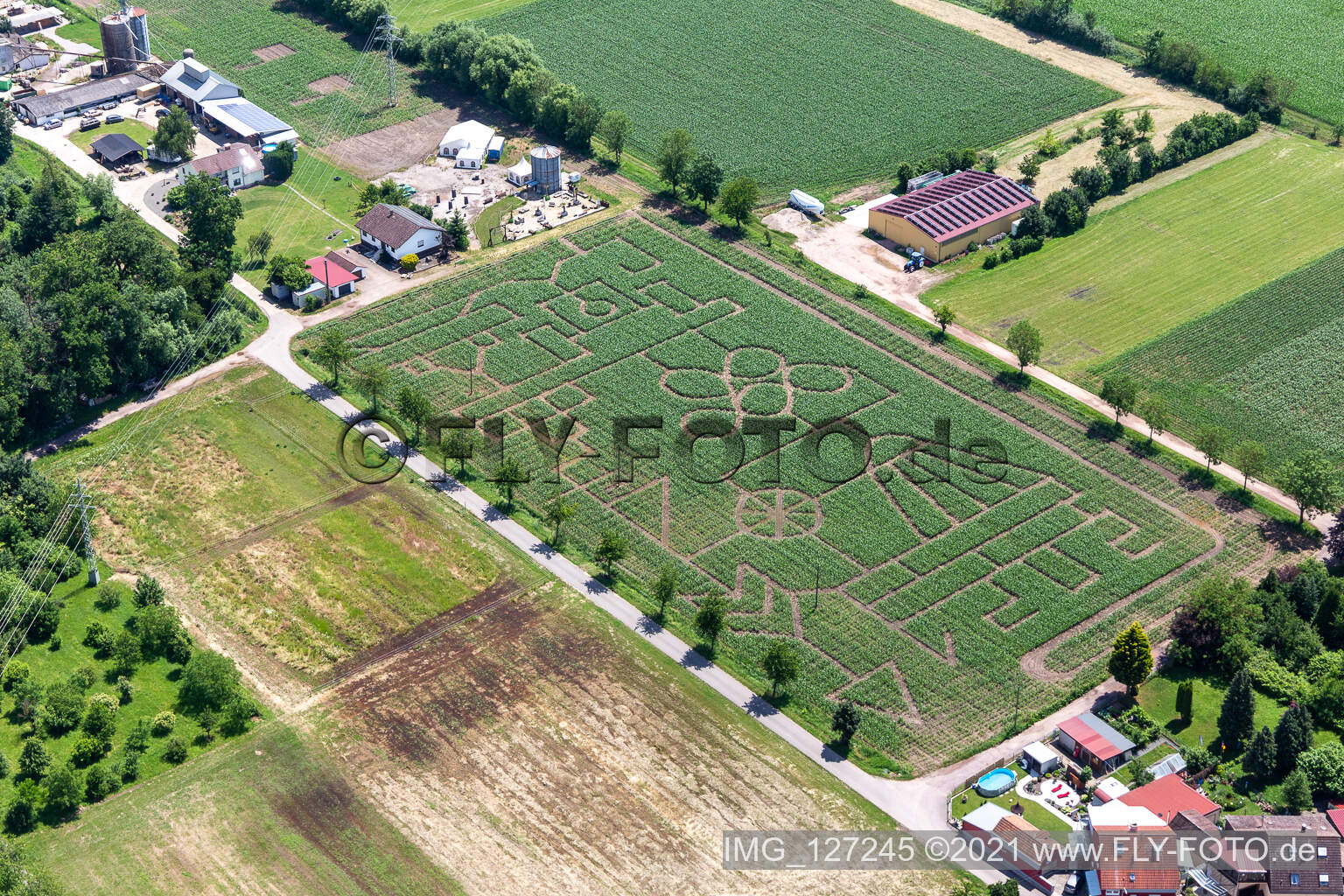 Vue aérienne de Labyrinthe de maïs et salon de plage Steinweiler Seehof à Steinweiler dans le département Rhénanie-Palatinat, Allemagne