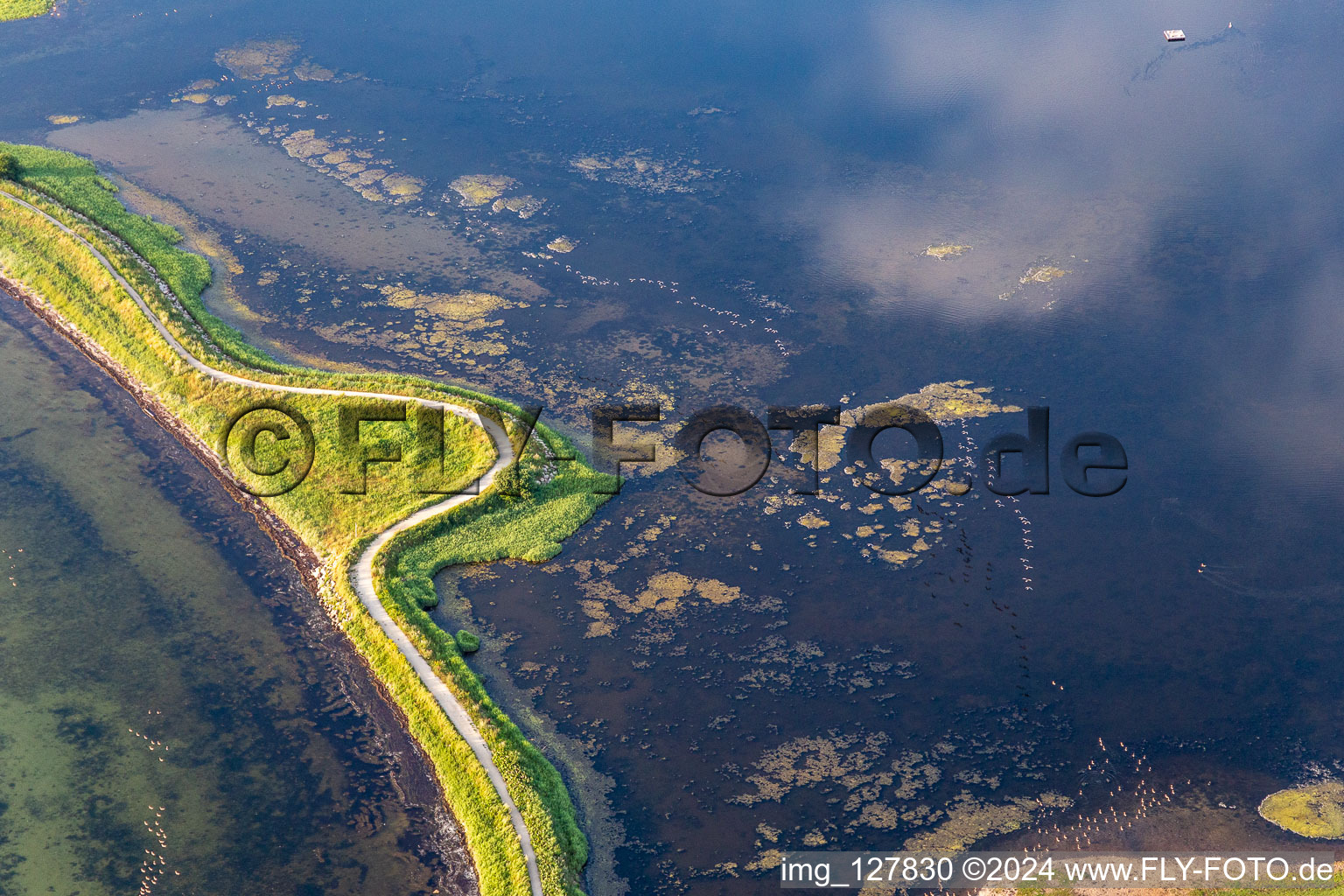 Vue aérienne de Surface de l'eau sur la côte de la mer avec le pont Noor sur le fjord de Flensburg en Holnis à le quartier Holnis in Glücksburg dans le département Schleswig-Holstein, Allemagne