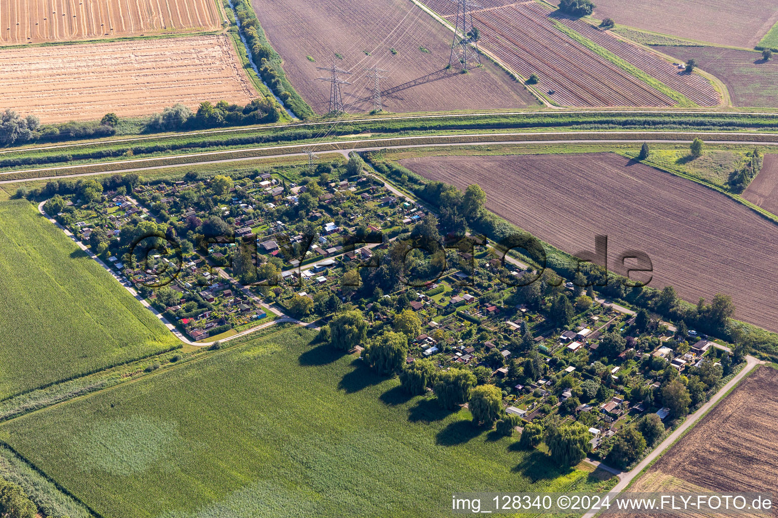 Vue aérienne de Superficie du jardin familial Leopoldshafen à le quartier Leopoldshafen in Eggenstein-Leopoldshafen dans le département Bade-Wurtemberg, Allemagne