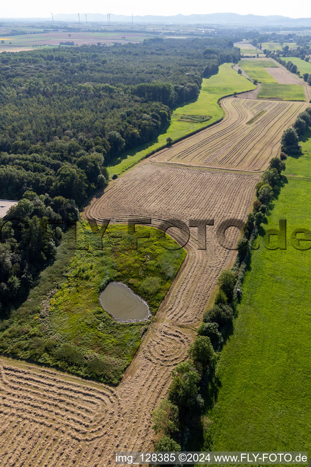 Vue aérienne de Fossé de crue, Erlenbach à Steinweiler dans le département Rhénanie-Palatinat, Allemagne