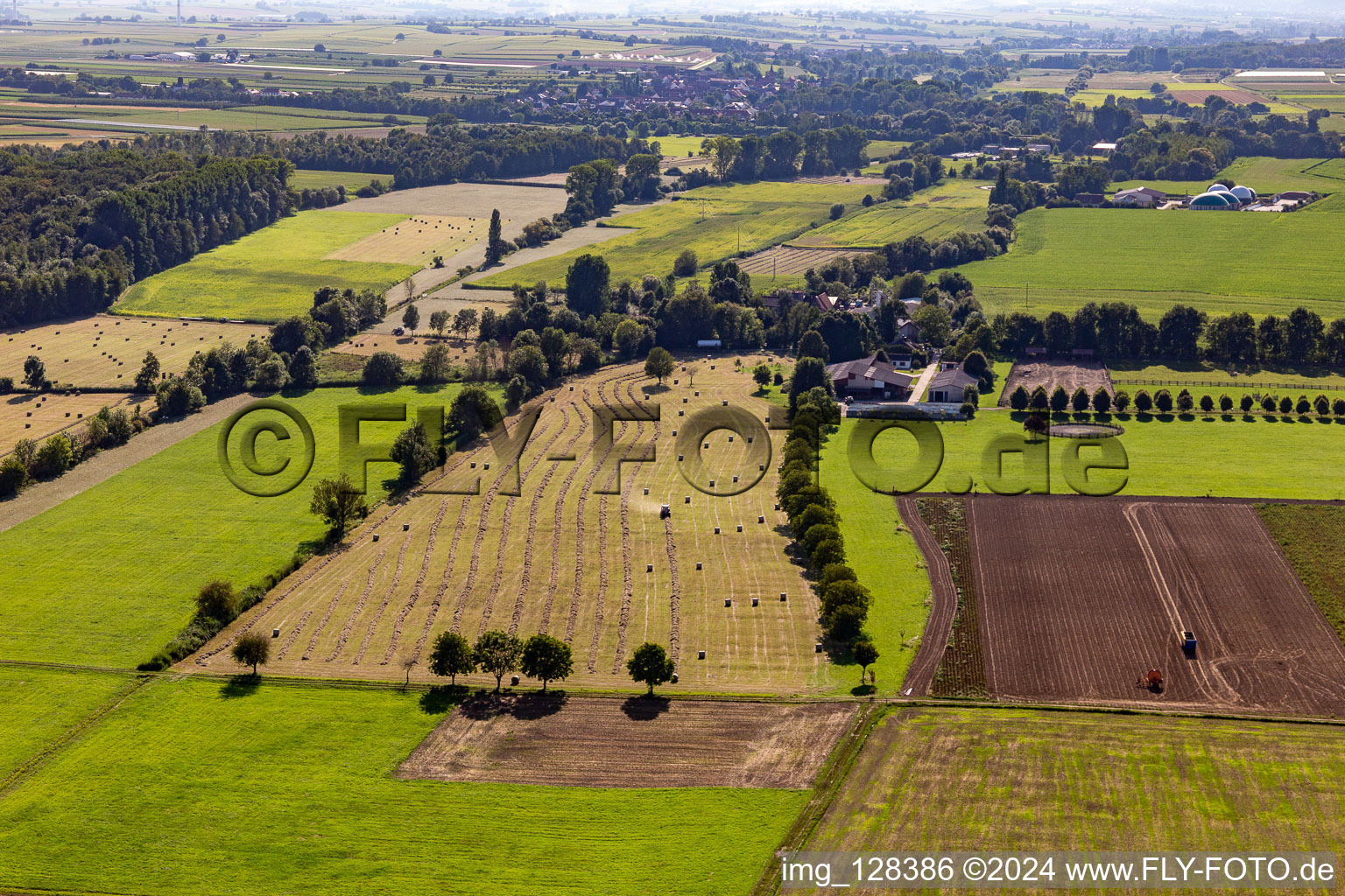 Photographie aérienne de Ranch Palatin à Steinweiler dans le département Rhénanie-Palatinat, Allemagne