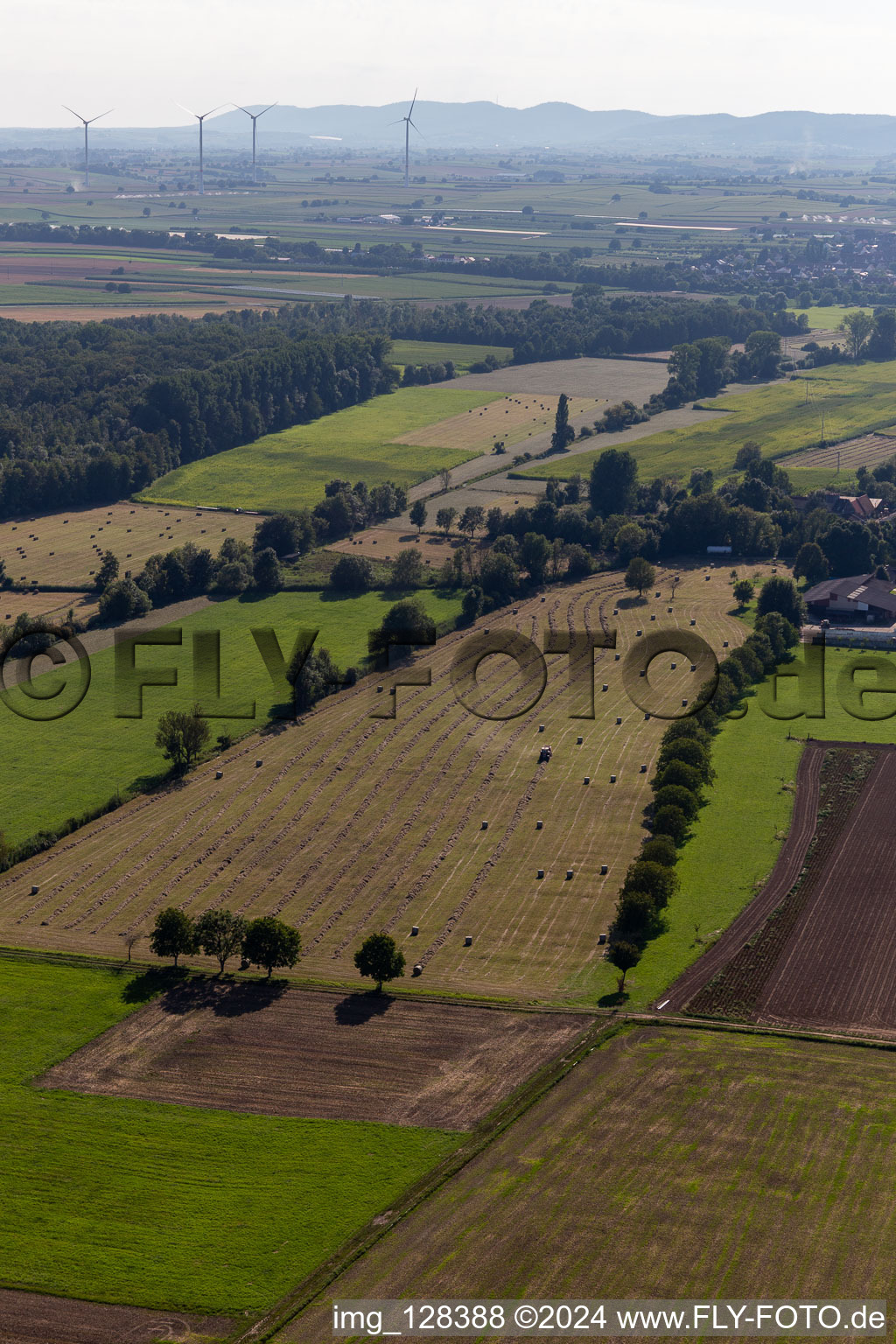 Vue aérienne de Fossé de crue, Erlenbach. Buschurgraben à Steinweiler dans le département Rhénanie-Palatinat, Allemagne